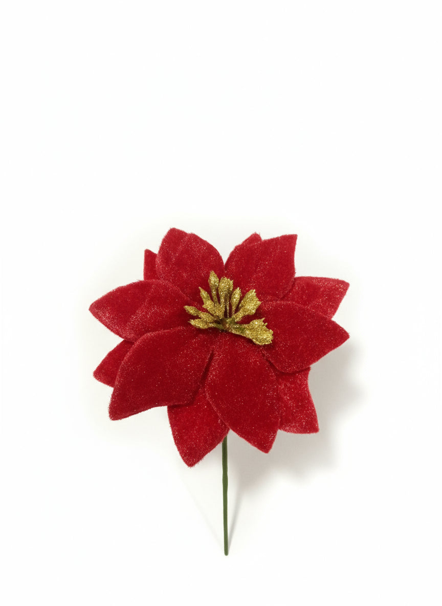 Craciunita catifea rosu 10 cm
